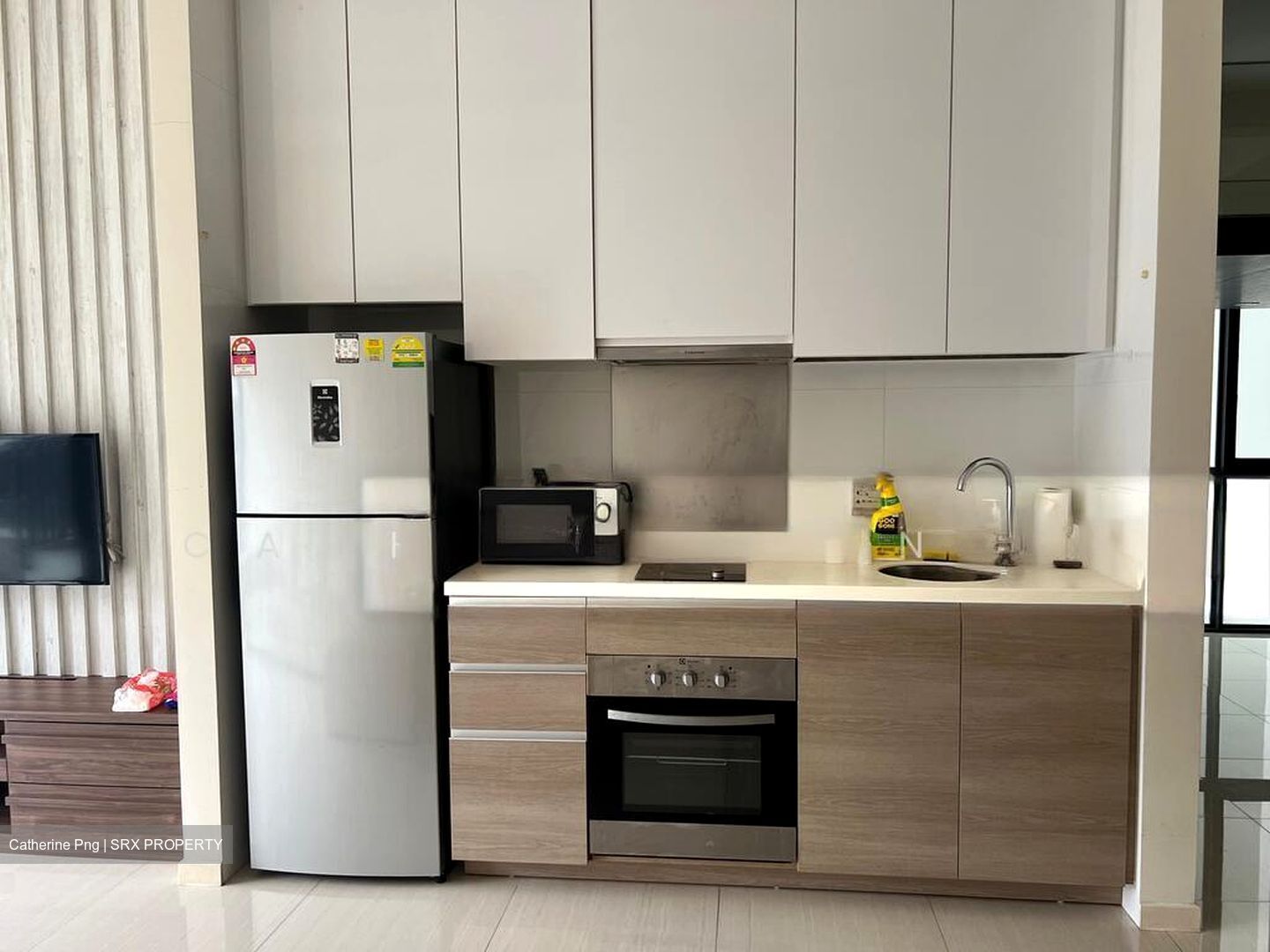 Boathouse Residences (D19), Condominium #546578171